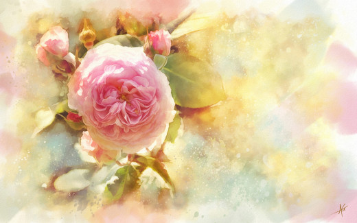 998232 (a): :2880x1800